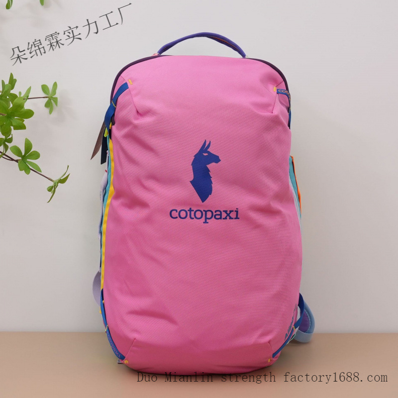 방수 컬러 블록 백팩 남녀공용 대용량 여행 가방 야외  - Travel Accessories Men 리뷰 및 가격